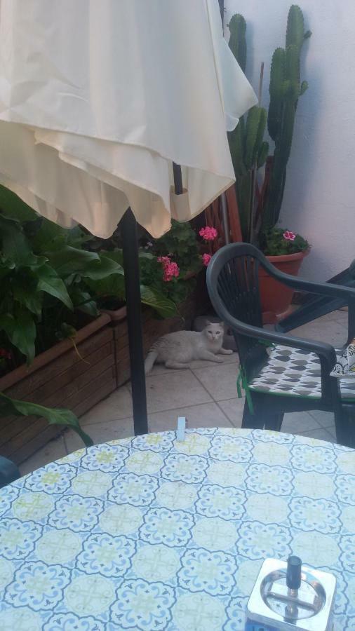 Appartamento Nenna Olbia Esterno foto
